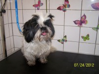 /album/fotogaleria/salon-009-jpg/